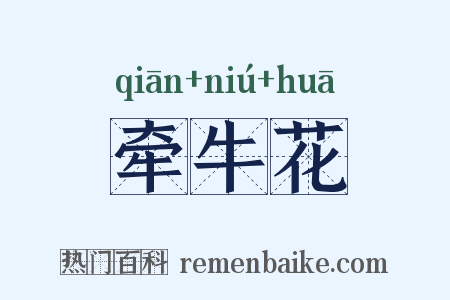 牵牛花是什么意思的图片